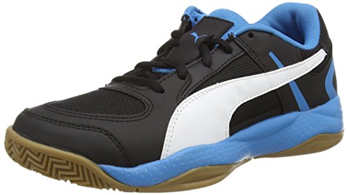 Puma Veloz Indoor II, Unisex-Erwachsene Hallenschuhe, Schwarz (black-white-cloisonné 01), 43 EU (9 Erwachsene UK)