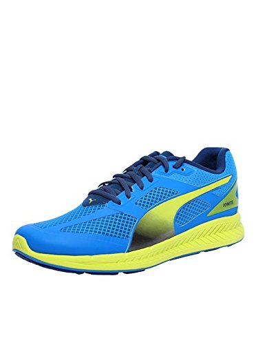 Puma IGNITE Mesh, Herren Laufschuhe, Blau (cloisonné-poseidon-sulphur spring 01), 44.5 EU (10 Herren UK)