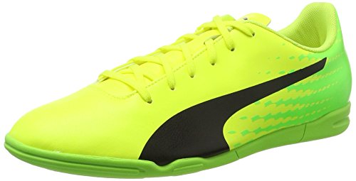 Puma Herren Evospeed 17.5 IT Fußballschuhe, Gelb (Safety Yellow-Puma Black-Green Gecko 01), 44.5 EU