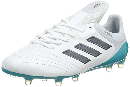 adidas Herren Copa 17.1 FG Fußballschuhe, Grau (Clear Grey/Footwear White/Onix), 44 EU