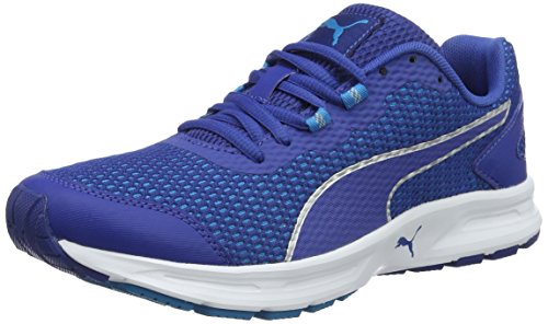 Puma Herren Descendant v4 Laufschuhe, Blau (True Blue-Blue Danube Silver 10), 40 EU